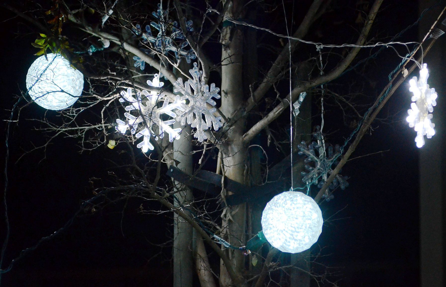 Napa Christmas lights